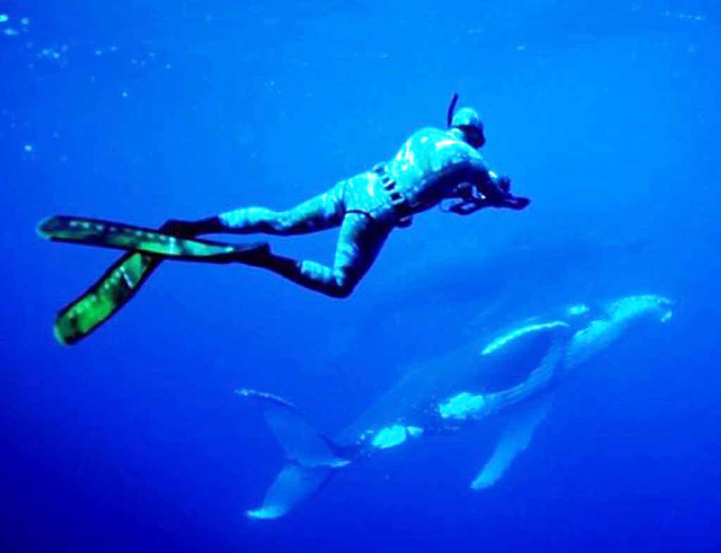 BLUEWATER BLISS: One of Brett Vercoe’s amazing close encounters with humpback whales off the Coffs Coast. BLUEWATER BLISS: One of Brett Vercoe’s amazing close encounters with humpback whales off the Coffs Coast.